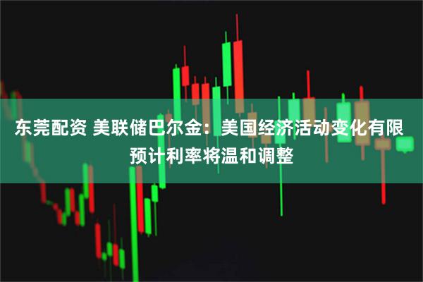 东莞配资 美联储巴尔金：美国经济活动变化有限 预计利率将温和调整