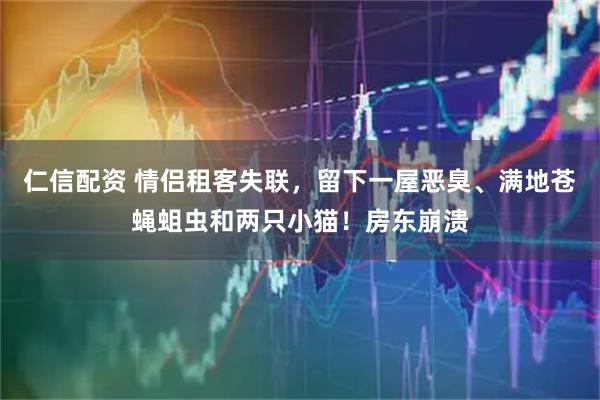 仁信配资 情侣租客失联，留下一屋恶臭、满地苍蝇蛆虫和两只小猫！房东崩溃