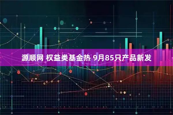 源顺网 权益类基金热 9月85只产品新发