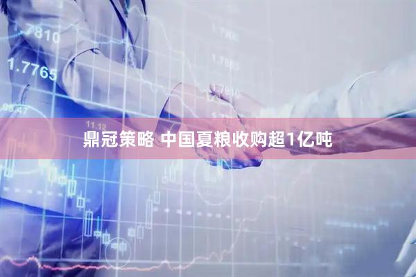 鼎冠策略 中国夏粮收购超1亿吨