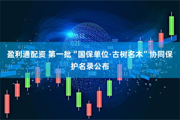 盈利通配资 第一批“国保单位·古树名木”协同保护名录公布