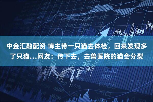 中金汇融配资 博主带一只猫去体检，回来发现多了只猫…网友：传下去，去兽医院的猫会分裂