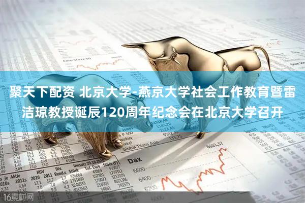 聚天下配资 北京大学-燕京大学社会工作教育暨雷洁琼教授诞辰120周年纪念会在北京大学召开